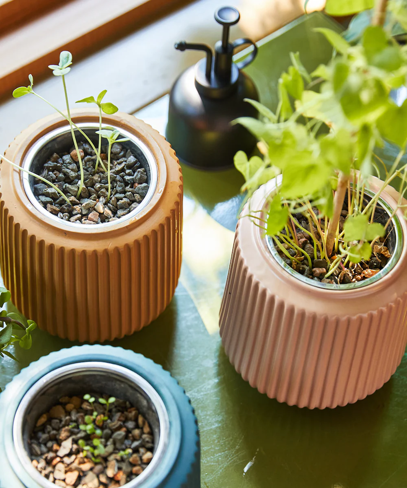 Modern Sprout self-watering grow kits with plants curated by Swagger.