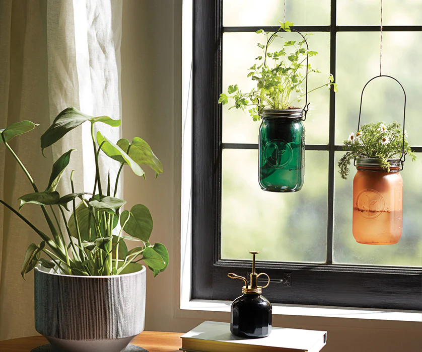 An assortment of Modern Sprout plant kits hanging in an apartment by the Modern Sprout Plant Mister curated by Swagger.