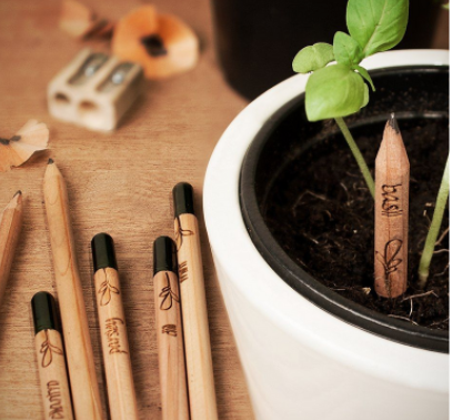 Image of Sprout pencils designed by Swagger