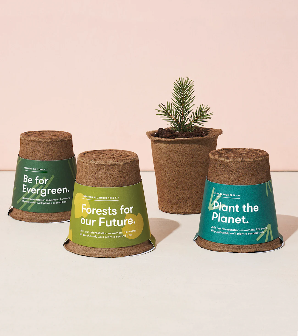 Plants that are a part of The One For One Tree Kit program by Modern Sprout.