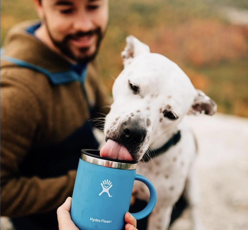 A dog drinking out of a Hydro Flask mug curated by Swagger.