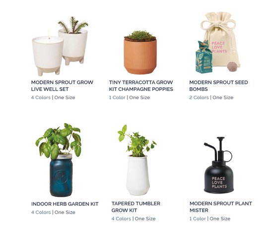 Modern Sprout Grow Live Well Set, Tiny Terracotta Grow Kit Champagne Poppies, Seed Bombs, Indoor Herb Garden Kit, Tapered Tumbler Grow Kit, and Plant Mister curated by Swagger.