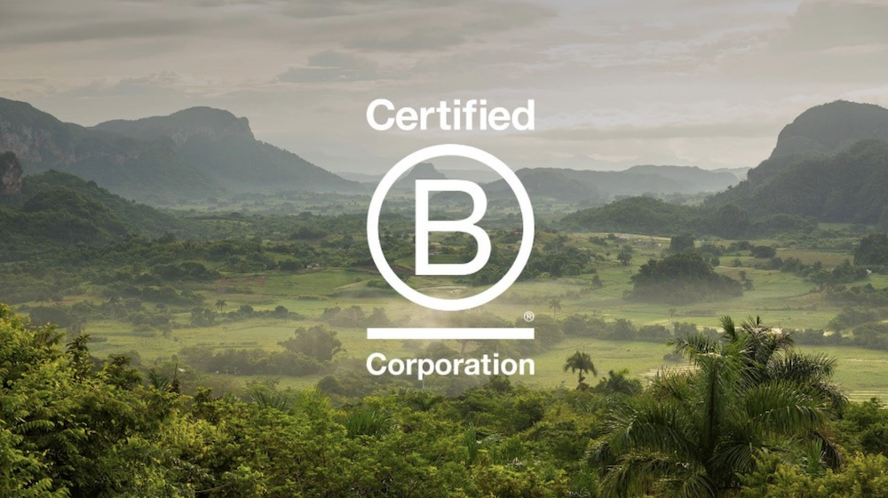 Certified B Corporation logo in front of a lush, green rainforest valley.