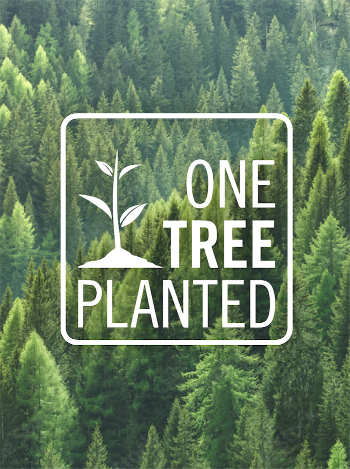 One Tree Planted Org logo with “Reforestation Partner” called out overlaid on a top-down view of a forest of bright green free trees.