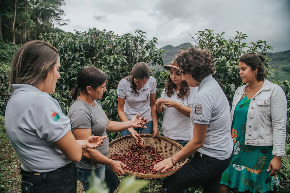Image of girls apart of The International Women’s Coffee Alliance (IWCA) standing between coffee plants and around coffee beans.